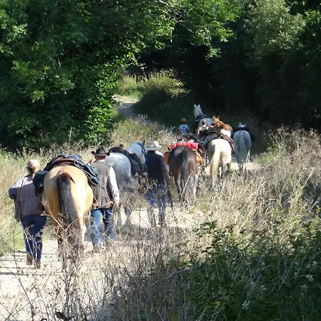 Appartement Les Cinq Chemins, Etape Et Inclusif Au Coeur Des Volcans D'auvergne Mazaye